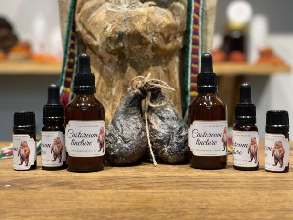 BEBRŲ SRUOGLIŲ UŽPILTINĖ 20% (10ml)